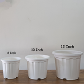 Pro Nursery Pot UV Resistant "White"